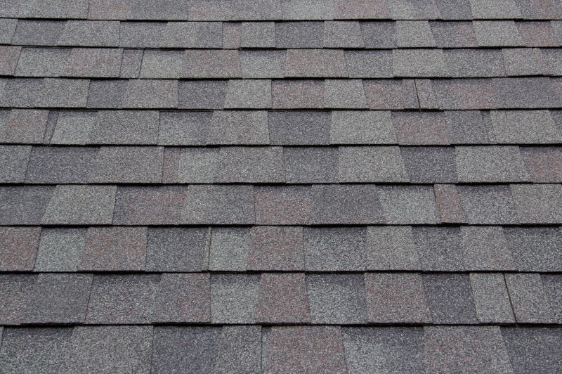 Shingle Roof Install